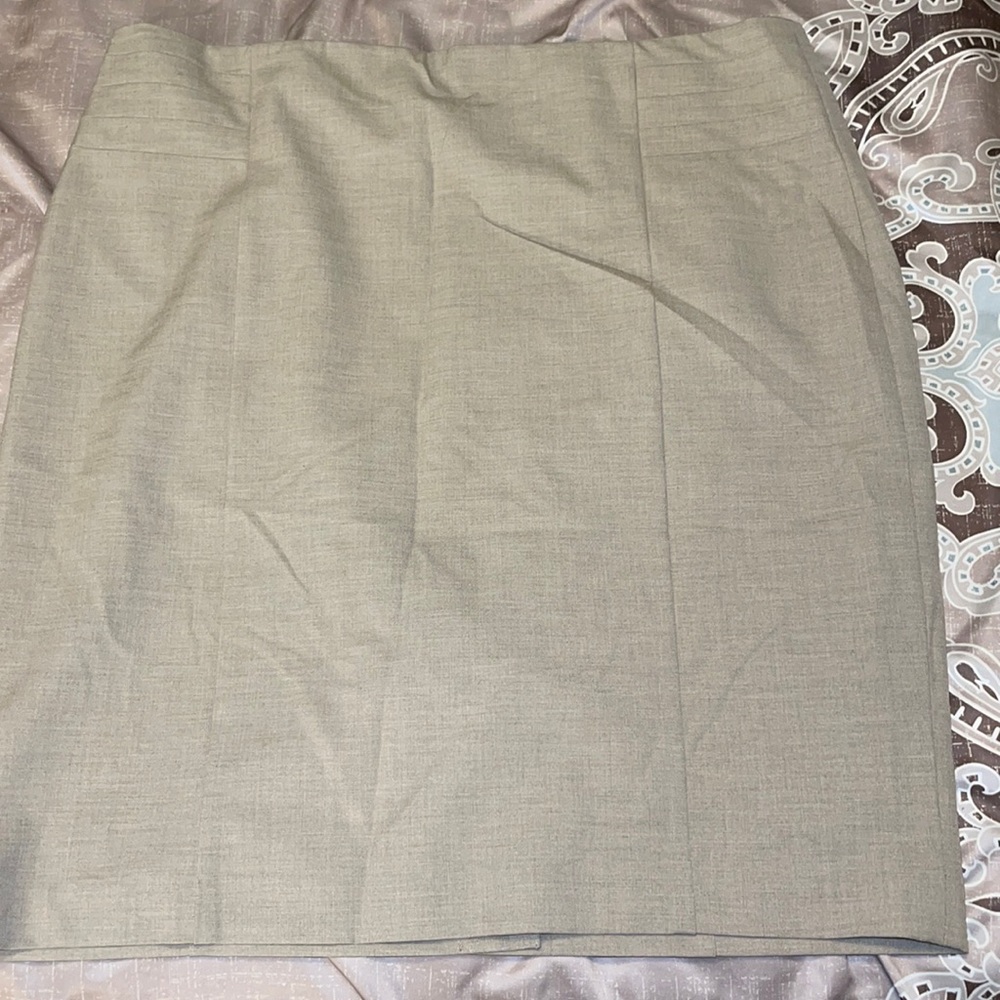 The limited skirt , size 14